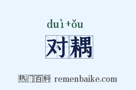 对耦是什么意思的图片